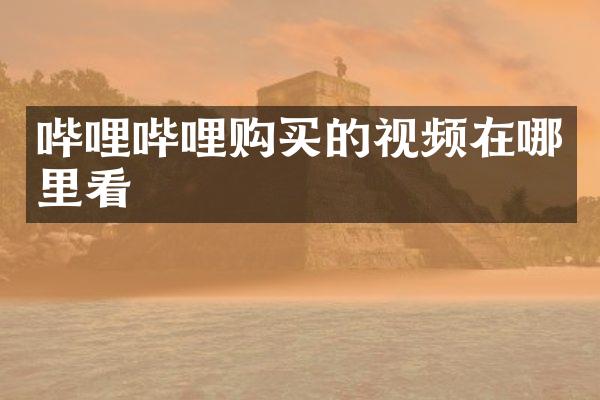 哔哩哔哩购买的视频在哪里看