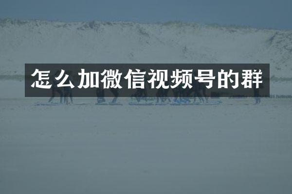 怎么加微信视频号的群