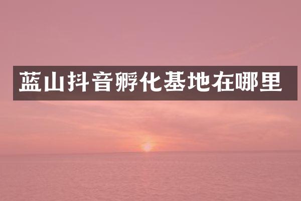 蓝山抖音孵化基地在哪里