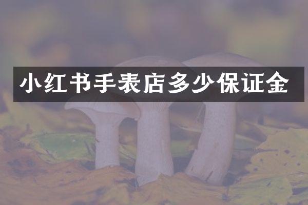 小红书手表店多少保证金
