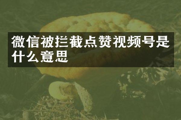 微信被拦截点赞视频号是什么意思