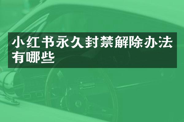小红书永久封禁解除办法有哪些