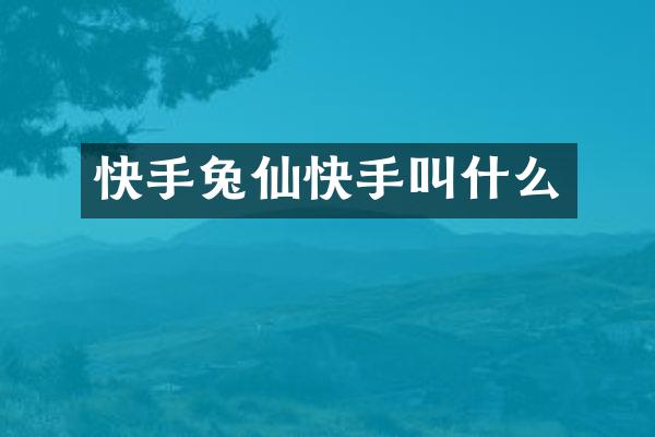 快手兔仙快手叫什么