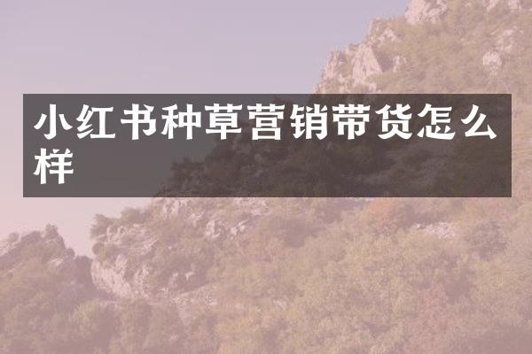 小红书种草营销带货怎么样