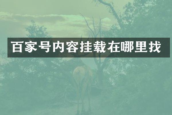 百家号内容挂载在哪里找