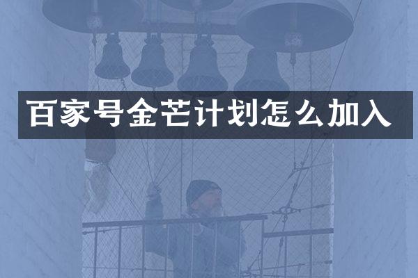 百家号金芒计划怎么加入