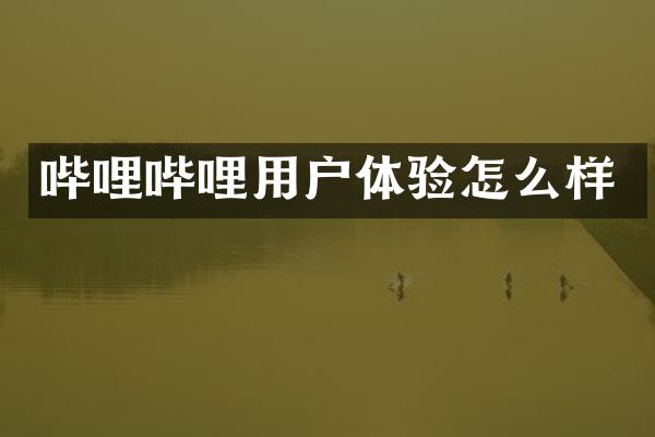 哔哩哔哩用户体验怎么样
