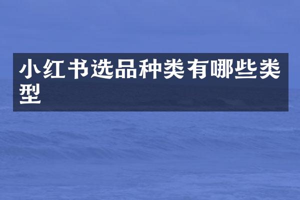 小红书选品种类有哪些类型