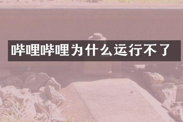 哔哩哔哩为什么运行不了