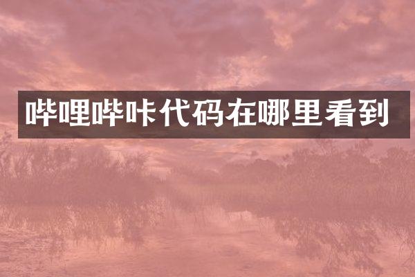 哔哩哔咔代码在哪里看到