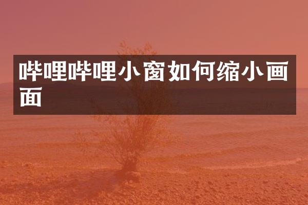 哔哩哔哩小窗如何缩小画面