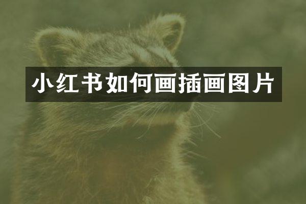 小红书如何画插画图片