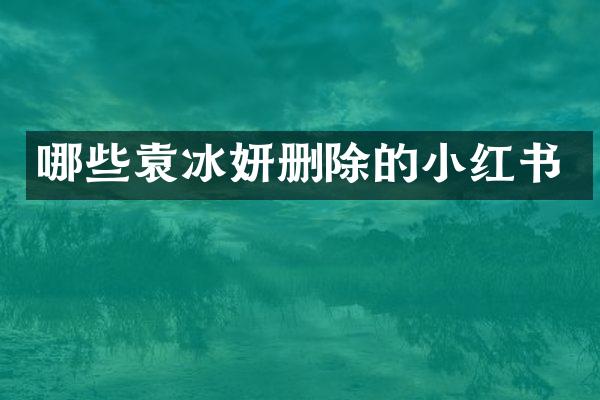 哪些袁冰妍删除的小红书