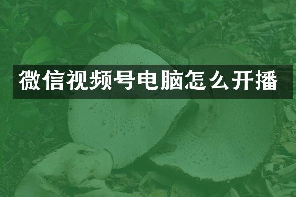 微信视频号电脑怎么开播