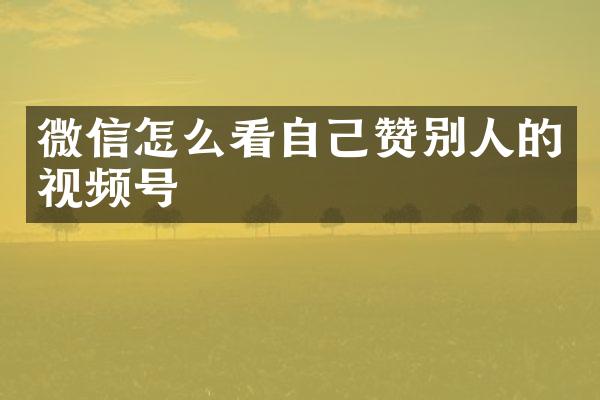 微信怎么看自己赞别人的视频号