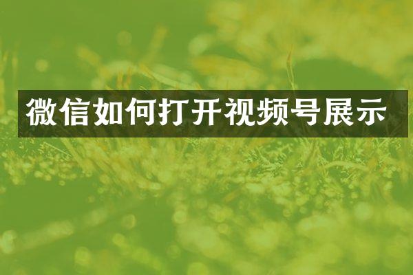 微信如何打开视频号展示