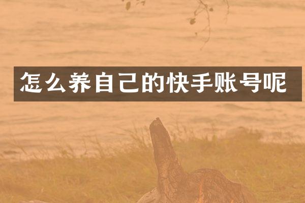 怎么养自己的快手账号呢