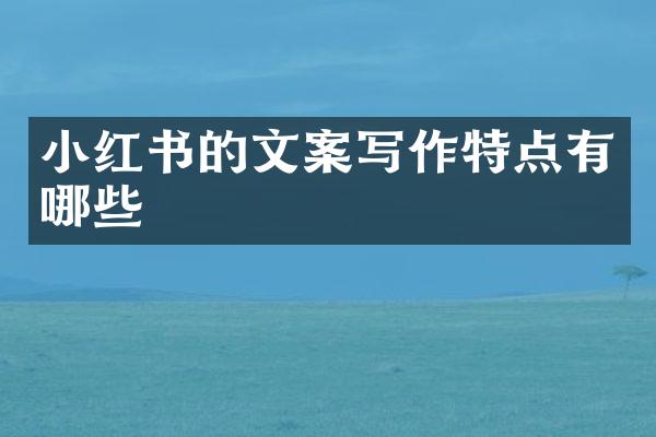 小红书的文案写作特点有哪些