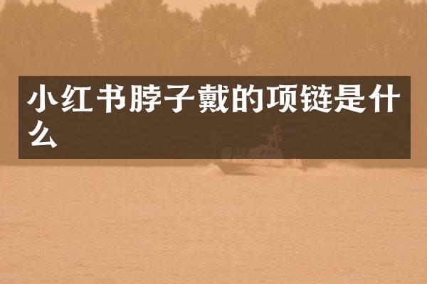 小红书脖子戴的项链是什么