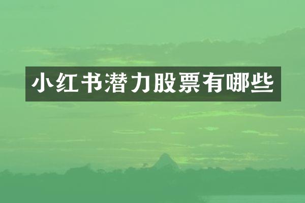 小红书潜力股票有哪些