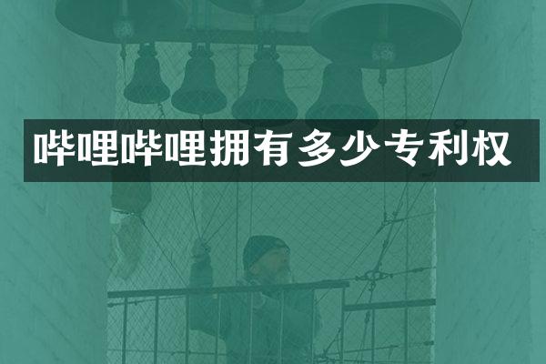 哔哩哔哩拥有多少专利权