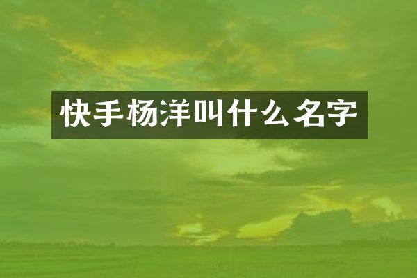 快手杨洋叫什么名字