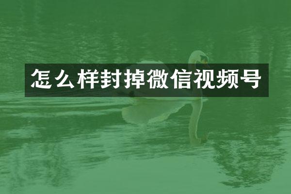 怎么样封掉微信视频号