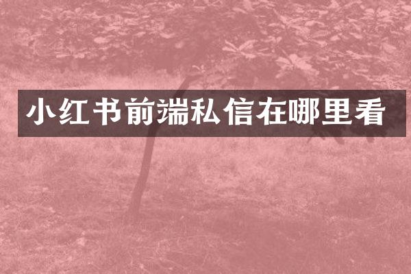小红书前端私信在哪里看