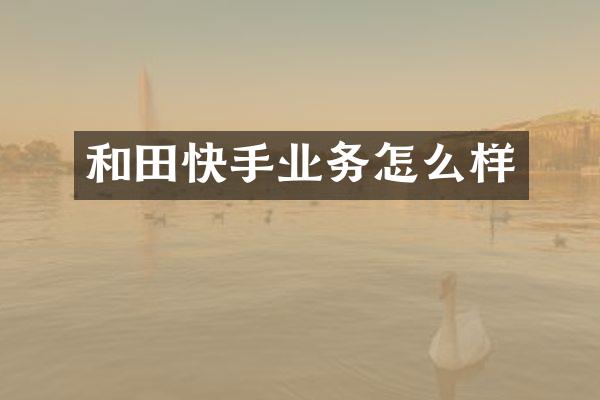 和田快手业务怎么样