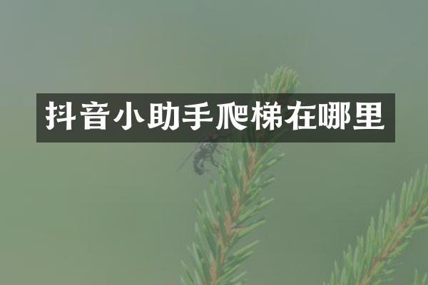 抖音小助手爬梯在哪里