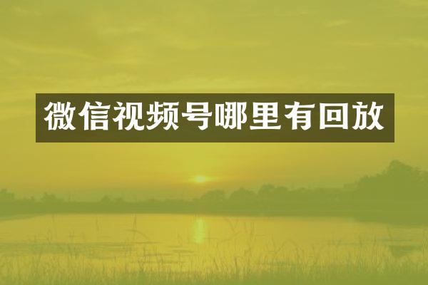 微信视频号哪里有回放
