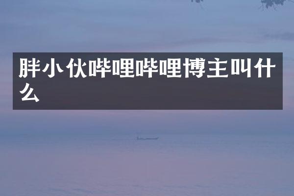 胖小伙哔哩哔哩博主叫什么