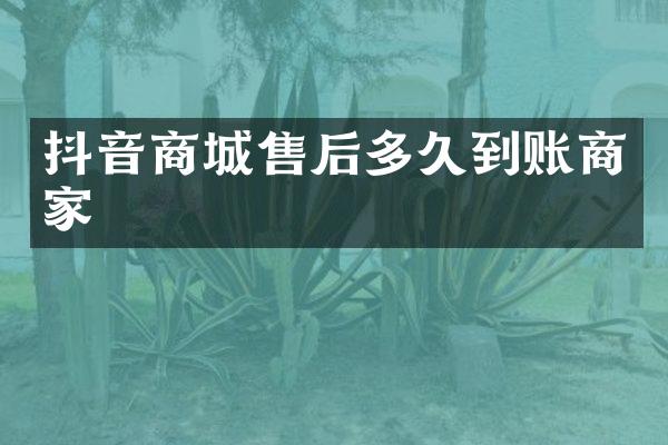 抖音商城售后多久到账商家