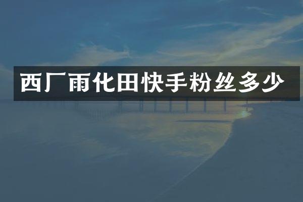 西厂雨化田快手粉丝多少
