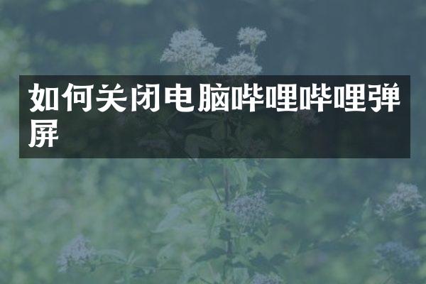 如何关闭电脑哔哩哔哩弹屏