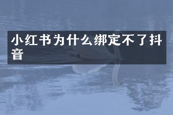 小红书为什么绑定不了抖音