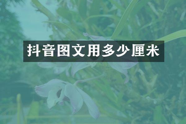 抖音图文用多少厘米