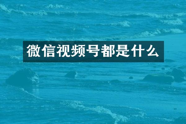 微信视频号都是什么