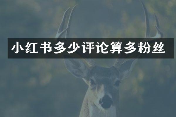 小红书多少评论算多粉丝