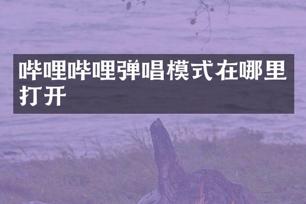 哔哩哔哩弹唱模式在哪里打开