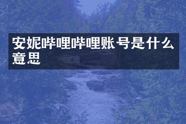 安妮哔哩哔哩账号是什么意思