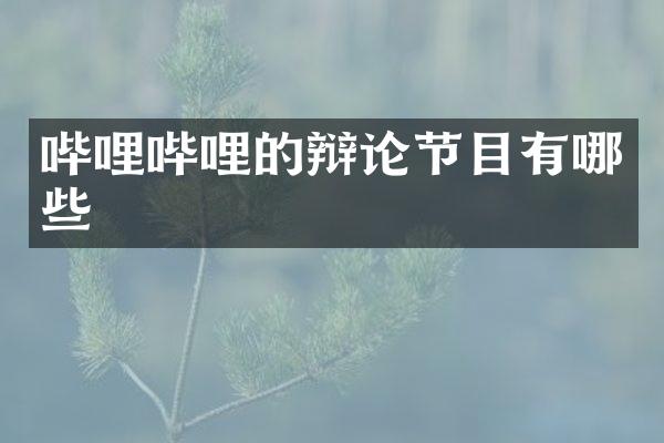 哔哩哔哩的辩论节目有哪些