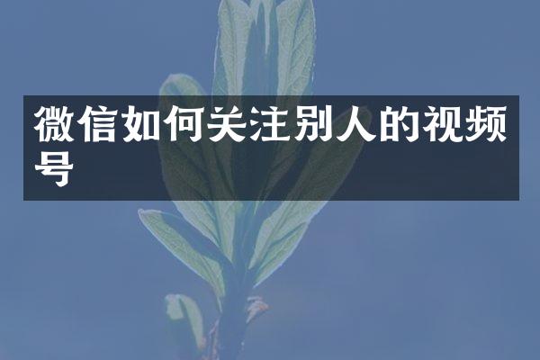 微信如何关注别人的视频号