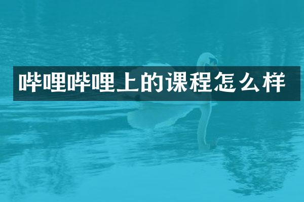 哔哩哔哩上的课程怎么样