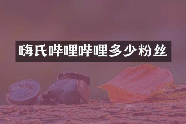 嗨氏哔哩哔哩多少粉丝