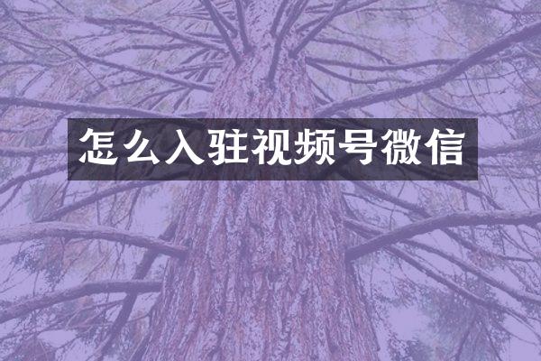 怎么入驻视频号微信