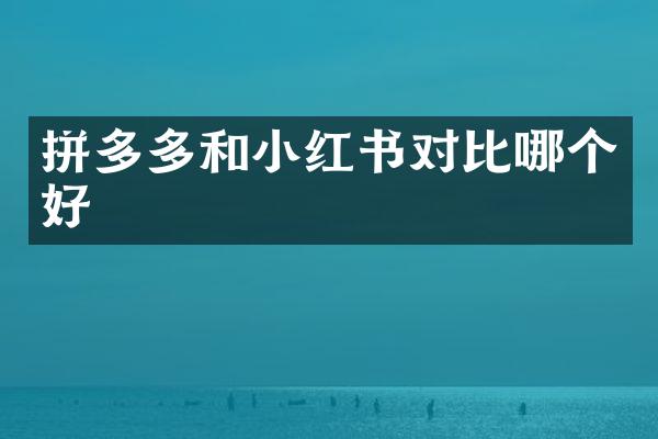 拼多多和小红书对比哪个好