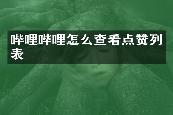 哔哩哔哩怎么查看点赞列表