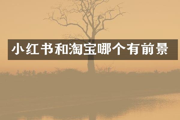 小红书和淘宝哪个有前景