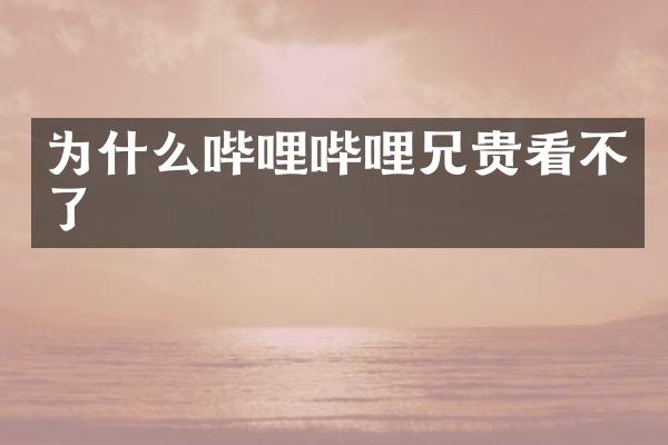 为什么哔哩哔哩兄贵看不了